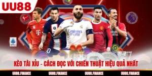 Kèo Tài Xỉu - Cách Đọc Với Chiến Thuật Hiệu Quả Nhất